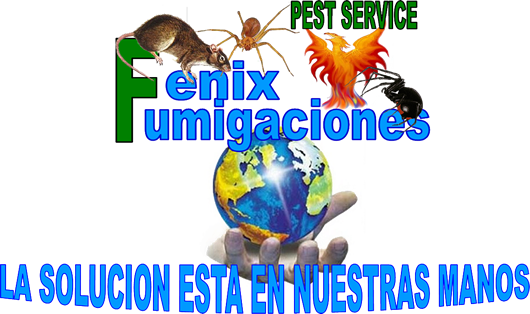 Fenixfumigaciones